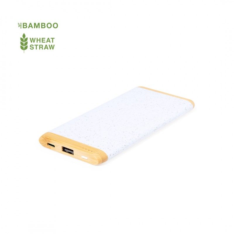 Power Bank Coquin