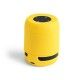 Altavoz Braiss