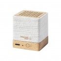 Altavoz Dorkin