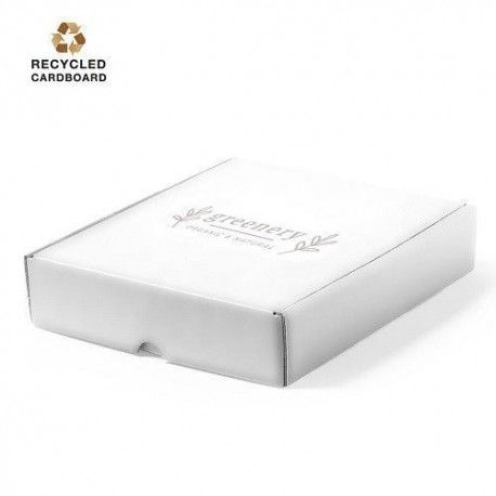 Caja Presentación Wingard