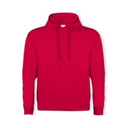 Sudadera Adulto Capucha Harnix
