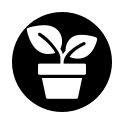 SEMILLAS Y PLANTAS