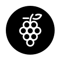 Botas de Vino